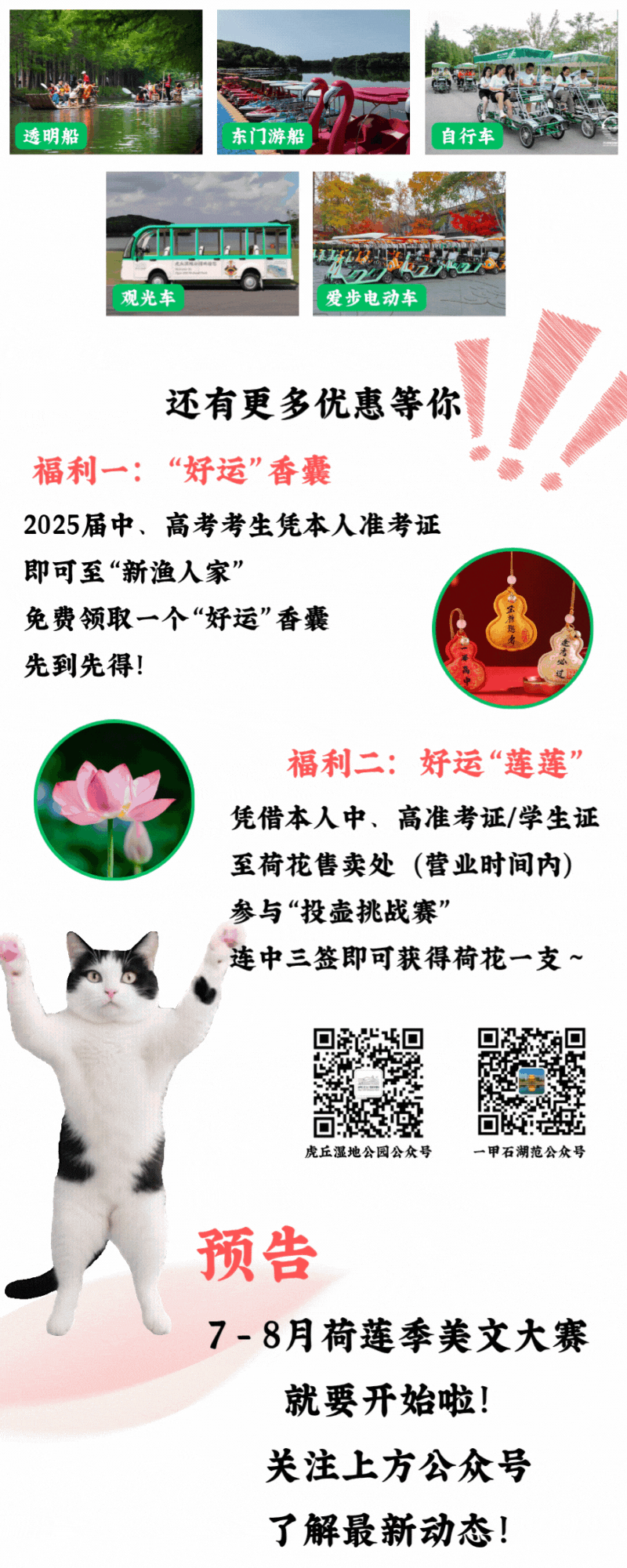 DM_20250623173445_015.GIF