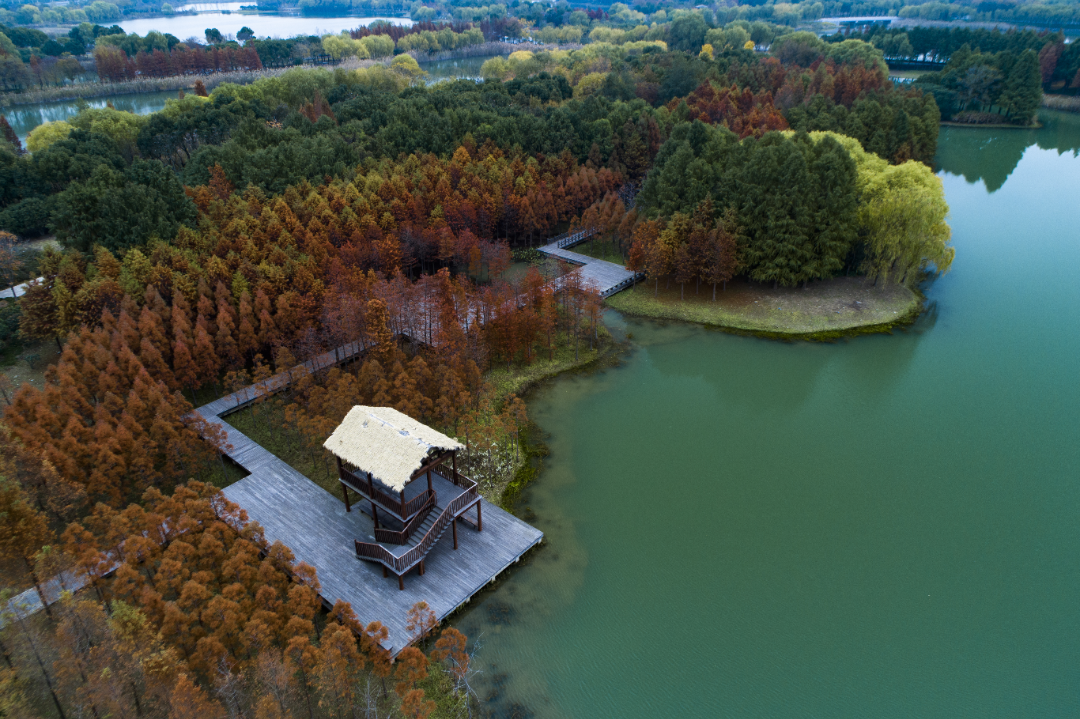 07f0c099223216881b312e186d502c19 4.png