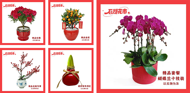 3fbe6aaa20767dd3a987f7691f9ac6ff 222.png